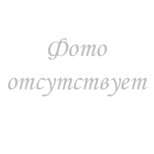 ПРЕСС ДЛЯ ПИЦЦЫ SIGMA SPRIZZA 40  ДИСК PVC2 ПРОКЛАДКИ ФЕТР